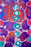 ebru - paars, rood en groen