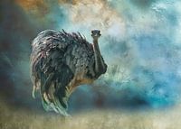 Le vol des rêves de Nandu