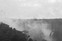 Argentine Chutes d'Iguazu