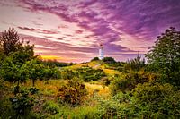 Vue sur le phare blanc de Dornbusch sur l'île de Hiddensee le soir