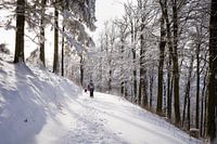 Sunny snow hike in Germany 2
