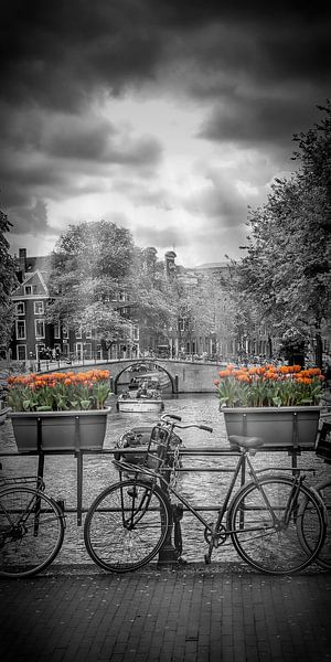 AMSTERDAM Herengracht | Panorama  par Melanie Viola