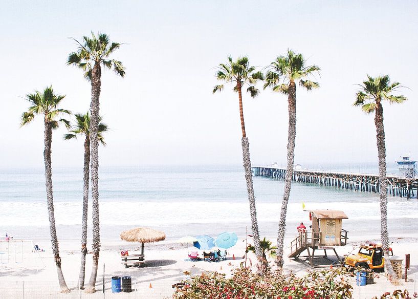 Palm Beach by Gal Design