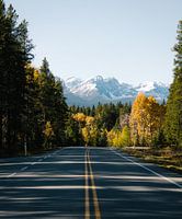 Wegen in de Canadese Rockies