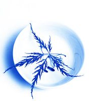 Delftsblauwe Tegel - 41