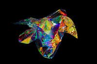 Colorful cellophane, black background
