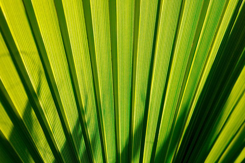 Sheet by Thomas Jäger