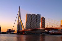 Sunrise Erasmus bridge, Rotterdam