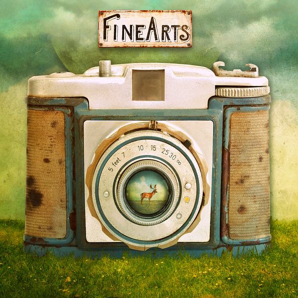 Beaux-Arts par Marja van den Hurk