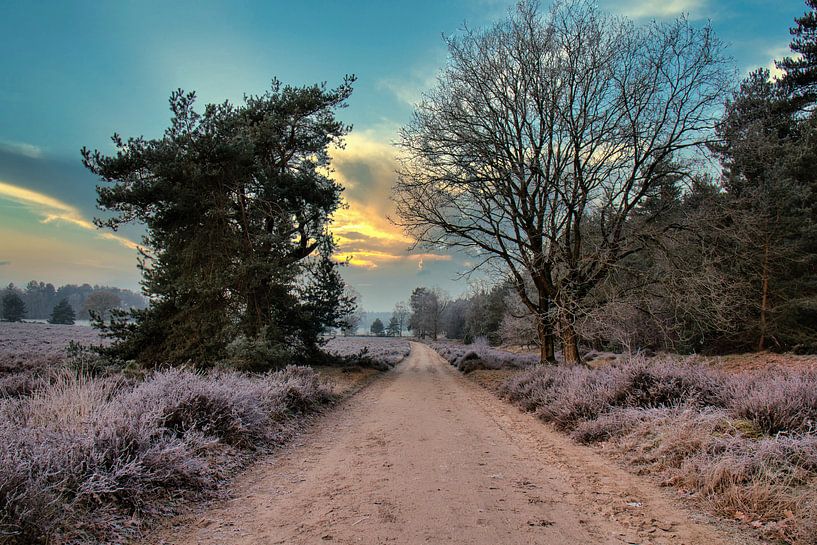 The sky is on fire during sunrise by Rick van de Kraats