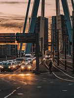 Erasmusbrücke am Abend