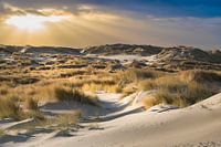 The  dunes of Terschelling