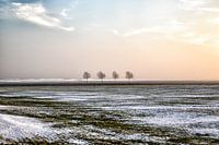 Polder landscape in winter