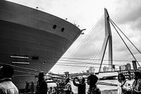 Harmony of the Seas | Rotterdam | 2016