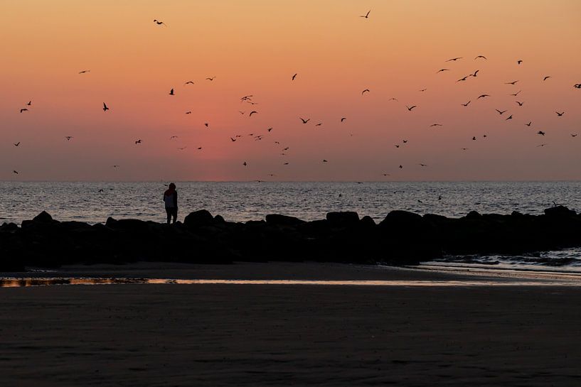 ein einsamer Spaziergang am Strand von Greet Thijs