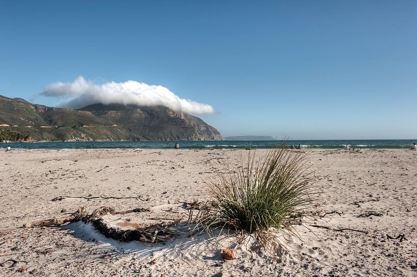 Hout Bay bei Kapstadt von Esther Seijmonsbergen