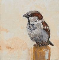 Sparrow 2