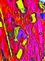 Met ons gaat het prima!