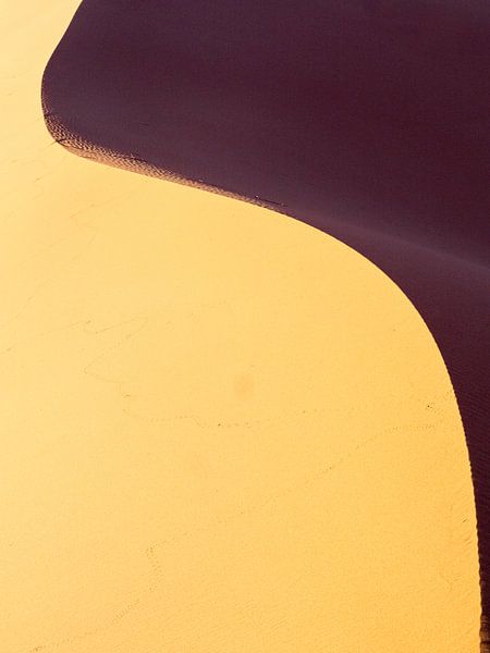 Abstracte Woestijn van Ferdi Merkx