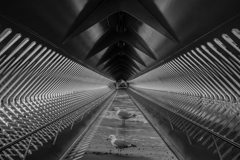 Bas et sec par shoott photography