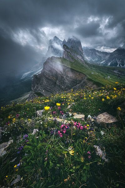 Seceda avec le groupe Geisler sous la pluie par Jean Claude Castor