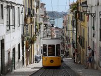 Tram Lisboa