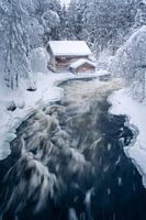Winter in Oulanka, Finnland