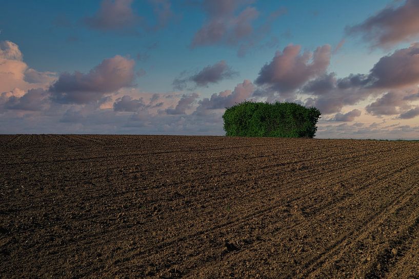 Hiking in the Wetterau by Thomas Riess
