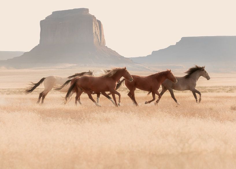 Southwest Horses by Gal Design