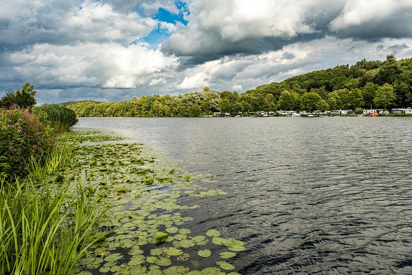 Rivière Ruhr avec nénuphars par Dieter Walther