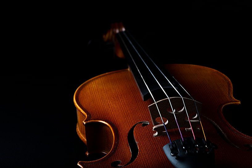 Violine von Thomas Heitz