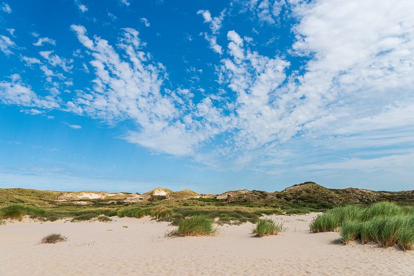 Regarder Bergen aan Zee par Rob Donders Beeldende kunst