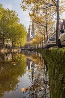 Entlang von De Gouwe mit grünem Kai im Herbst