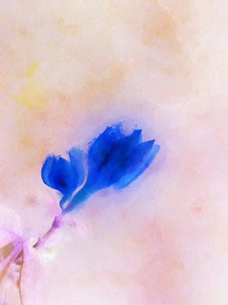 Abstract Spring 2 by Georgia Chagas