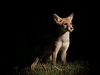 Mit Zuversicht in die Zukunft blicken.