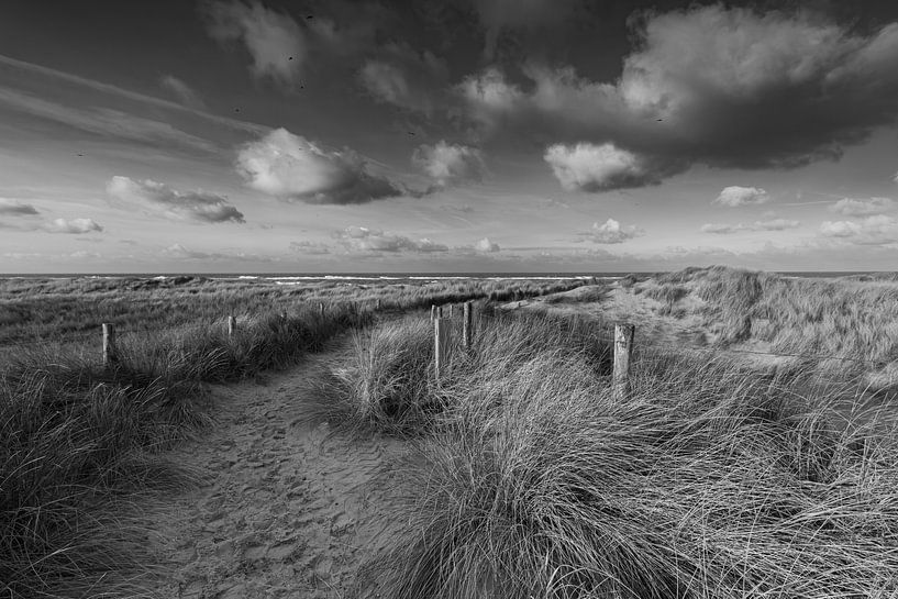 Paysage de dunes hollandaises près de Petten, le chemin de sable mène à la mer du Nord. par Bram Lubbers