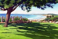 Seagrove Park Del Mar