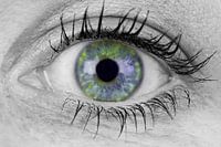 Colorful Iris | Black and white eye mixed with colors | Keeps looking at you