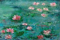 Nénuphars 'Mesmerising Lilies&#039 ;