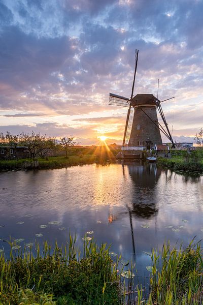 Hope by Jan Koppelaar Fotografie