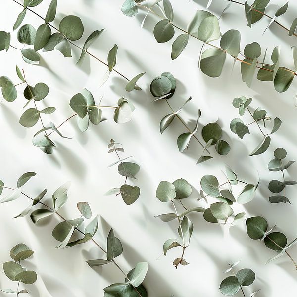 Branches d'eucalyptus par Poster Art Shop