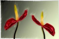 BERLIJN Bloemen - dansende flamingo's