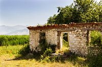 Decaying wall in green landscape