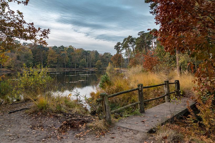 Witven bij Oisterwijk in Lentetooi von Douwe Bergsma