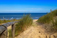 sandy path to the water