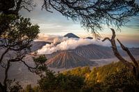 Mount Bromo