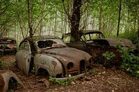 Autofriedhof Bastnäs Schweden, Autowracks