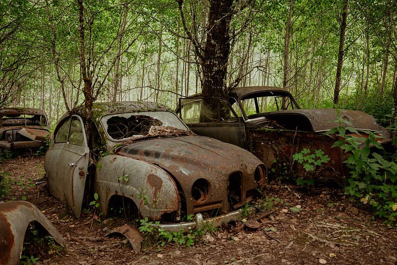 Cimetière de voitures Bastnäs Suède, épaves de voitures par Wendy Van Oenen