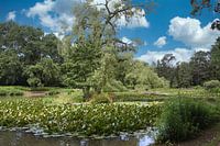 Our Hainweiher in Bamberg