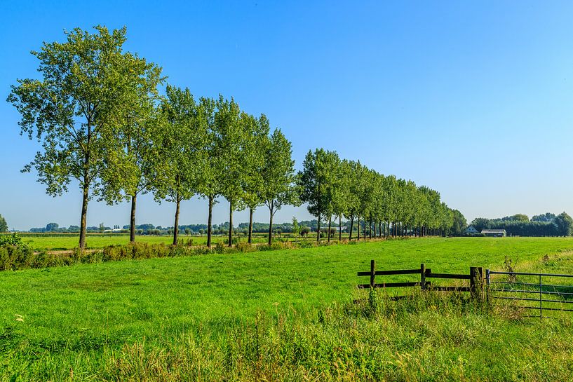 Prachtig Nederlandslandschap von Dennis te Lintelo